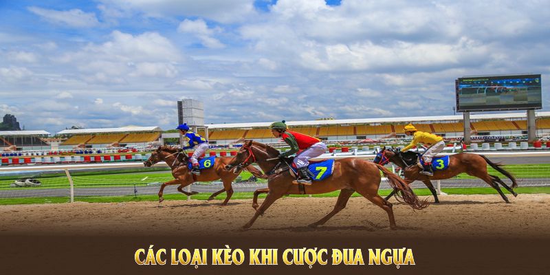 Các loại kèo khi cược đua ngựa tại 8KBET mang đến cơ hội thắng