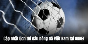 Lịch Thi Đấu Bóng Đá Việt Nam Mới Nhất Hôm Nay - Ngày Mai