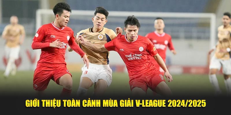 Giới thiệu toàn cảnh mùa giải V-league 2024/2025